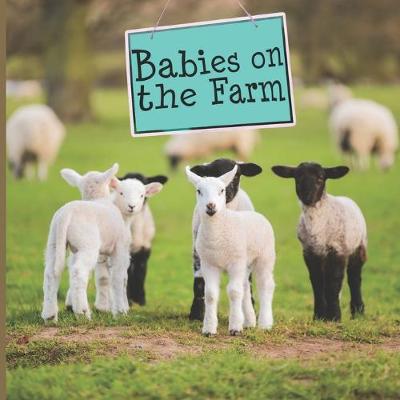 Book cover for Babies on the Farm