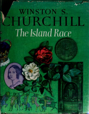 Book cover for The Island Race
