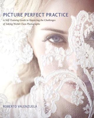 Book cover for Picture Perfect Practice