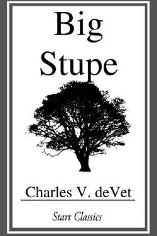 Cover of Big Stupe