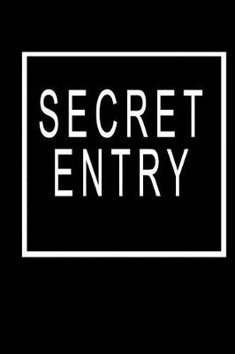 Book cover for Secret Entry