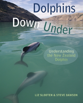 Book cover for Dolphins Down Under