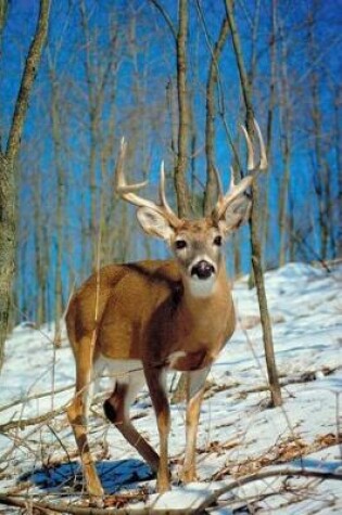 Cover of Journal Wild Deer Buck Antlers