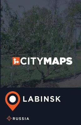 Book cover for City Maps Labinsk Russia