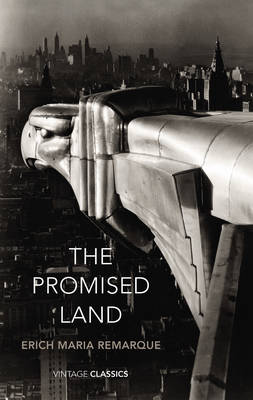 Book cover for The Promised Land