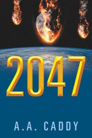 Cover of 2047