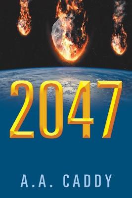 Book cover for 2047