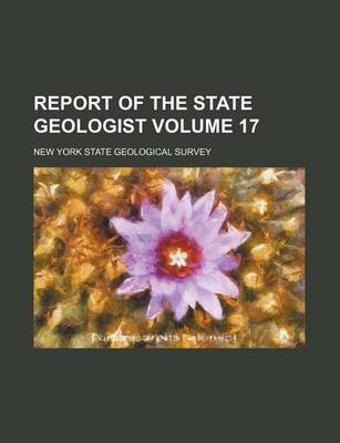 Book cover for Report of the State Geologist Volume 17