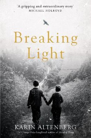 Cover of Breaking Light