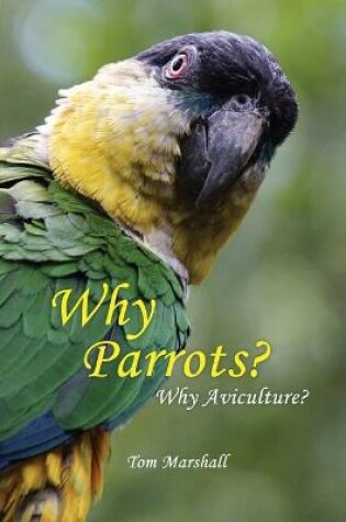 Cover of Why Parrots?