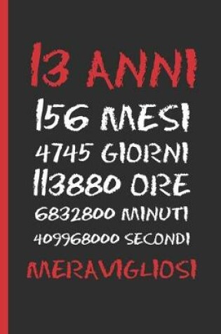 Cover of 13 Anni Meravigliosi