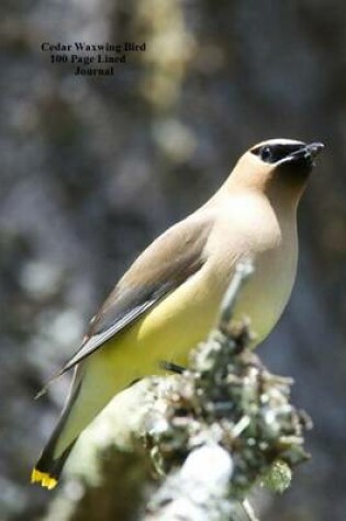 Cover of Cedar Waxwing Bird 100 Page Lined Journal