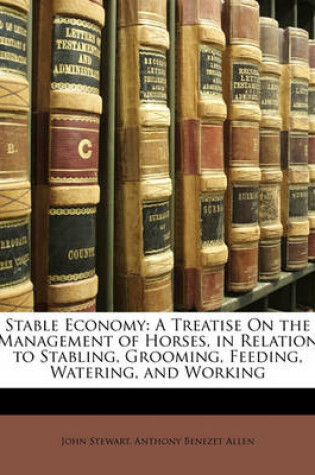 Cover of Stable Economy