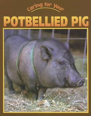 Cover of Caring for Your Potbellied Pig