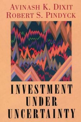 Cover of Investment Under Uncertainty