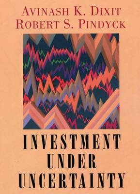 Book cover for Investment Under Uncertainty