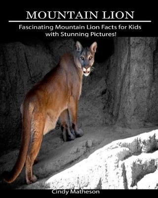 Book cover for Mountain Lion