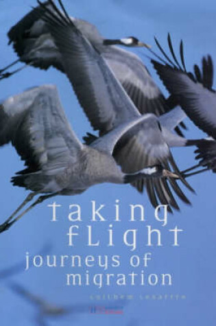 Cover of Taking Flights