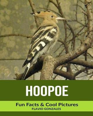 Book cover for Hoopoe