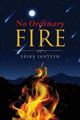 Book cover for No Ordinary Fire