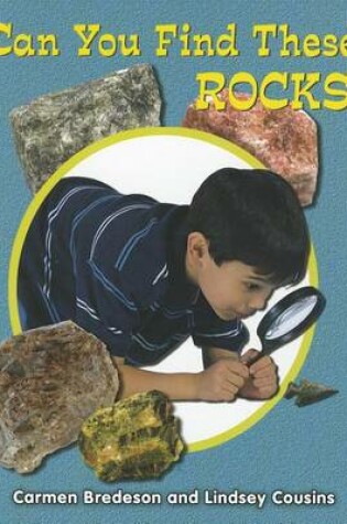 Cover of Can You Find These Rocks?