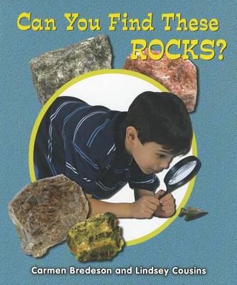 Cover of Can You Find These Rocks?