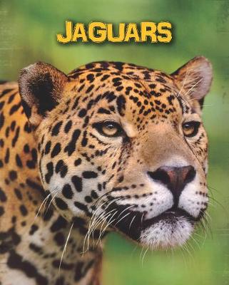 Book cover for Jaguars