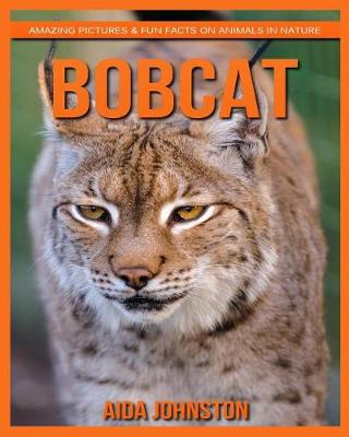 Book cover for Bobcat