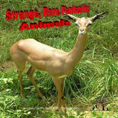 Cover of Strange Rare Fantastic Animals