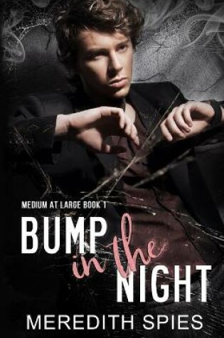 Cover of Bump in the Night