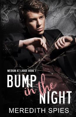 Book cover for Bump in the Night