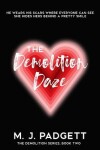 Book cover for The Demolition Daze