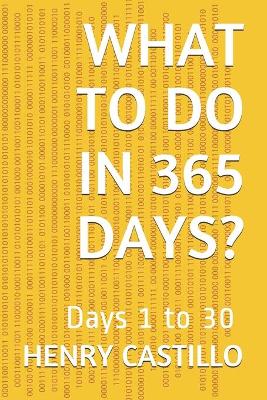 Book cover for What to Do in 365 Days?