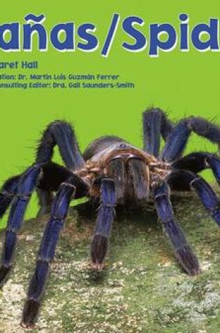 Cover of Ara�as/Spiders