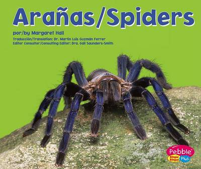 Book cover for Ara�as/Spiders