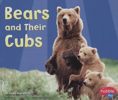 Book cover for Bears and Their Cubs
