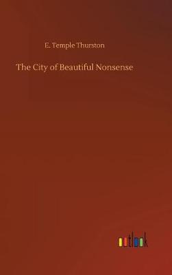 Book cover for The City of Beautiful Nonsense