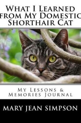 Cover of What I Learned from My Domestic Shorthair Cat