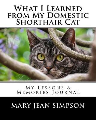 Book cover for What I Learned from My Domestic Shorthair Cat