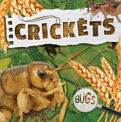 Cover of Crickets