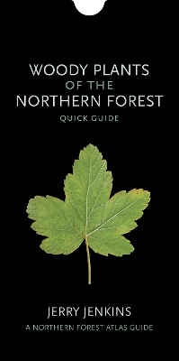 Book cover for Woody Plants of the Northern Forest