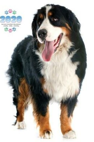 Cover of 2020 Bernese Mountain Dog Planner - Weekly - Daily - Monthly