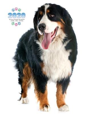 Book cover for 2020 Bernese Mountain Dog Planner - Weekly - Daily - Monthly