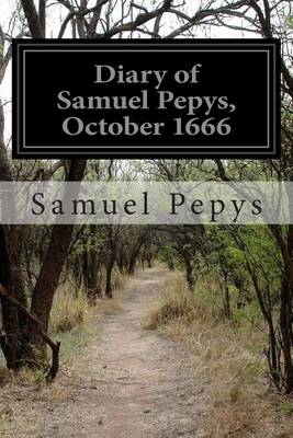 Book cover for Diary of Samuel Pepys, October 1666
