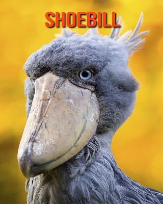 Book cover for Shoebill