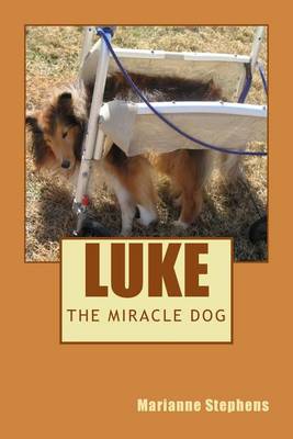 Book cover for Luke - The Miracle Dog