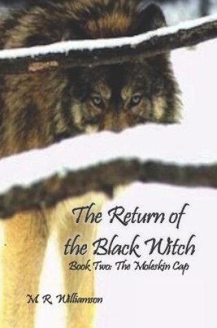 Cover of The Return of the Black Witch