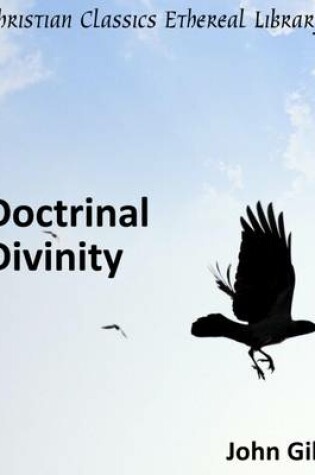 Cover of Doctrinal Divinity