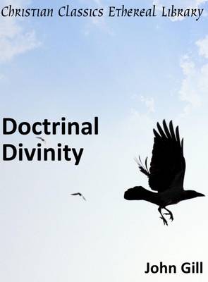 Book cover for Doctrinal Divinity