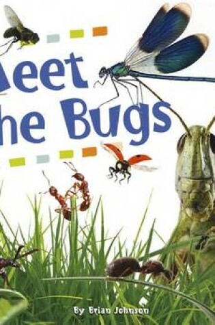 Cover of Meet the Bugs